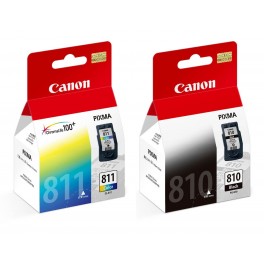 Canon 810 Original Ink
